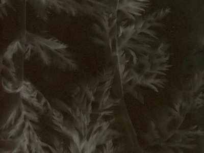 Dans l'imaginaire du grand Hazé (800 x 600 px) - expo Dornier