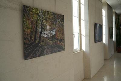Exposition “En forêt”