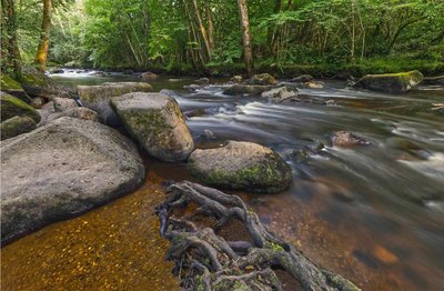 Photo_La_Roche_d'Oëtre_©Pascal_Léger 800