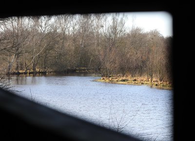 Marais du Grand Hazé, Briouze