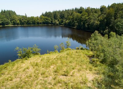 Etang de la Lande-Forêt, Le Grais