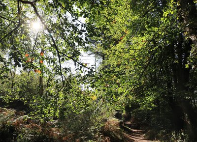 Gorges de Villiers, Orne