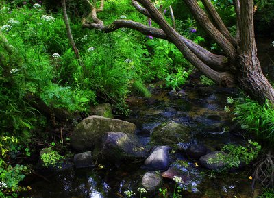 Gorges de Villiers, Orne