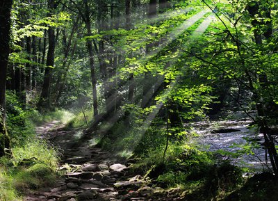 La Roche d'Oëtre en Suisse Normande, Orne