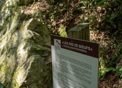 Le Vaudobin, Espace Naturel Sensible de l'Orne en Normandie