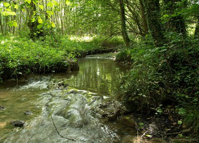 Le Vaudobin, Espace Naturel Sensible de l'Orne en Normandie