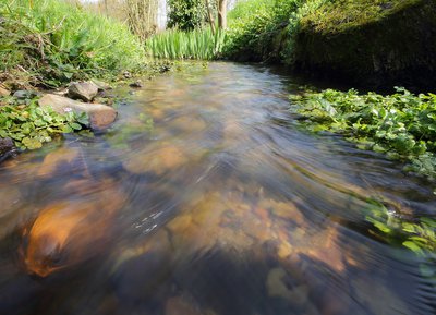 Camp de Bierre, Espace Naturel Sensible de l'Orne en Normandie