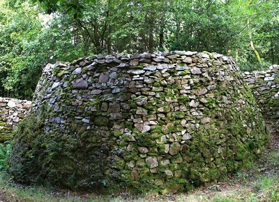 Camp de Bierre, Espace Naturel Sensible de l'Orne en Normandie