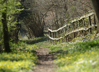 Camp de Bierre, Espace Naturel Sensible de l'Orne en Normandie