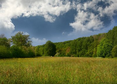 Méandres de l'Orne, Ménil-Glaise, Espace Naturel Sensible