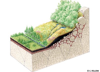 Tourbière des Petits Riaux, Espace Naturel Sensible de l'Orne