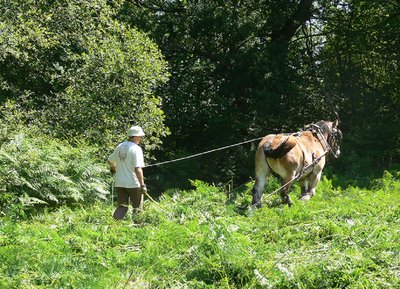 Tourbière des Petits Riaux, Espace Naturel Sensible de l'Orne