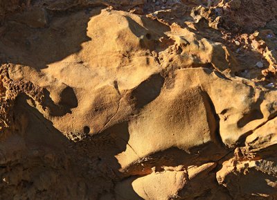 Carrière des Monts et Sablonettes, Espace Naturel Sensible de l'Orne