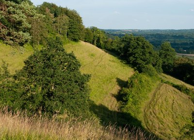 Prairie, Orne