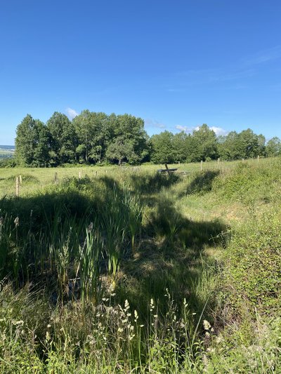 L'eau sur les coteaux