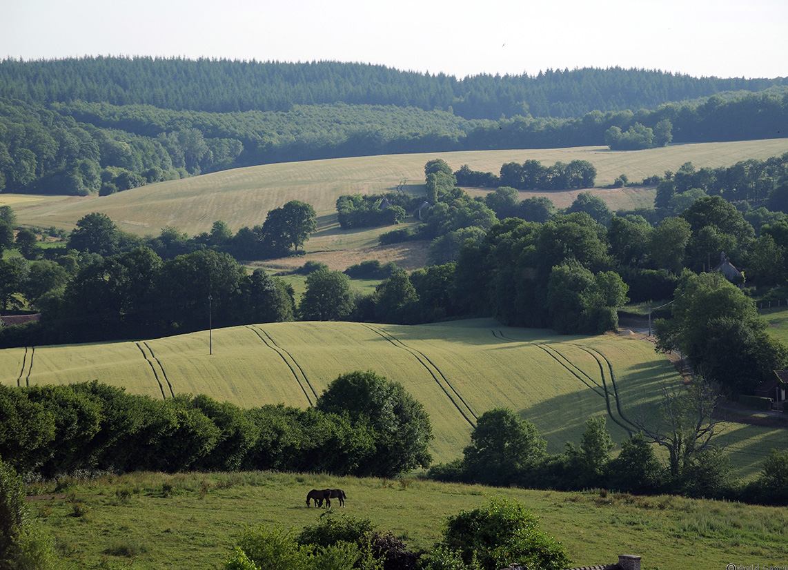 Paysage du Perche