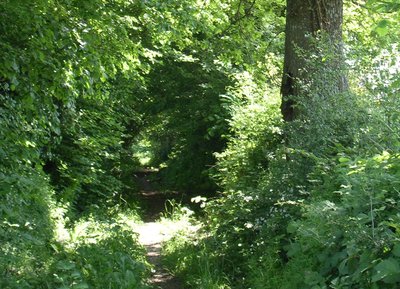 Chemin de randonnée dans l'Orne