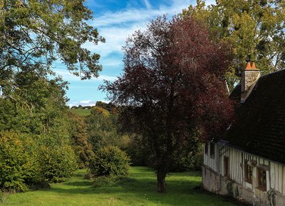 Paysage du pays d'Auge