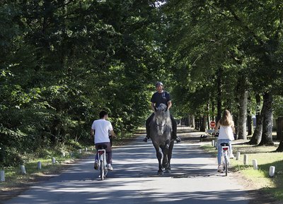 Haras national du Pin à vélo