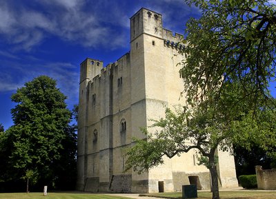 Chambois le donjon