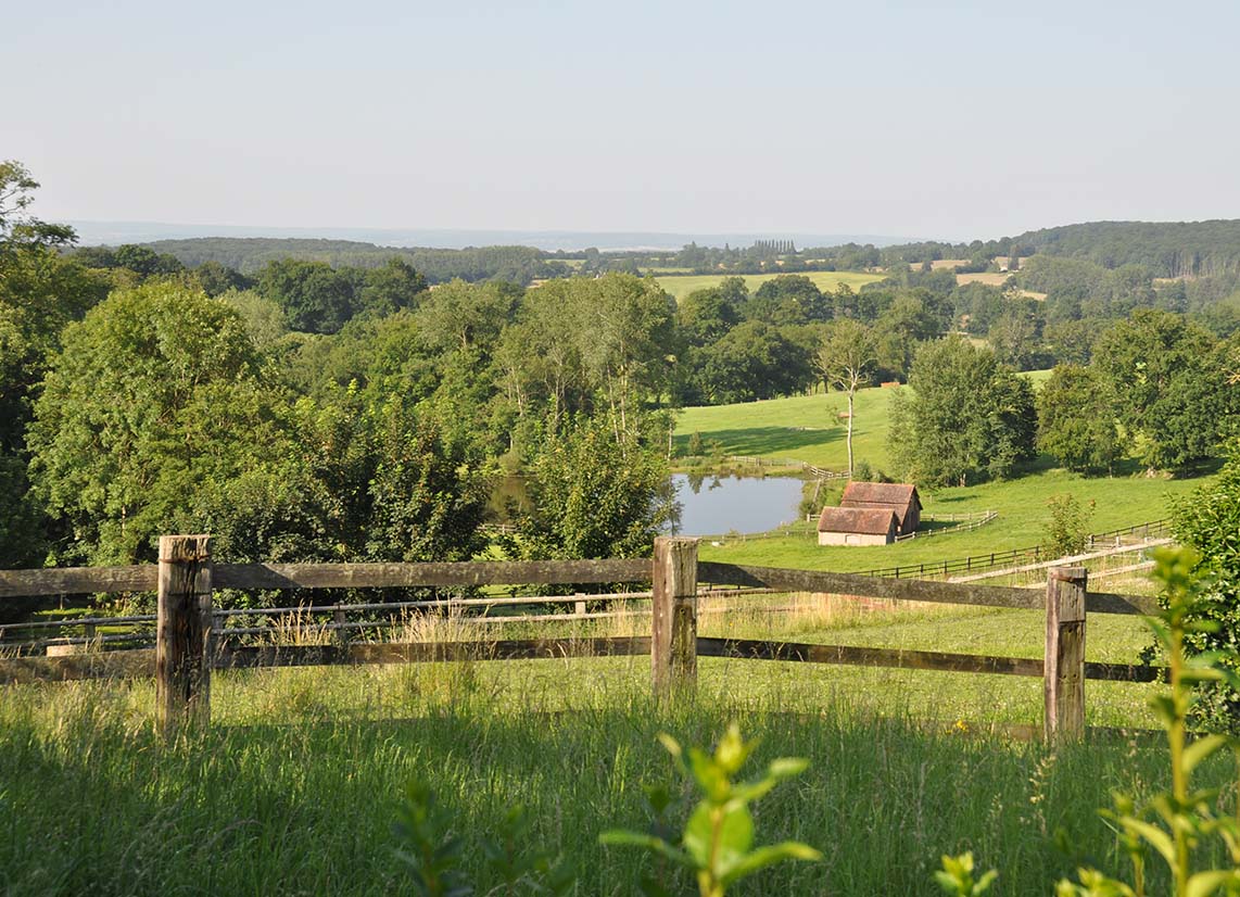 Le domaine du Haras national du Pin