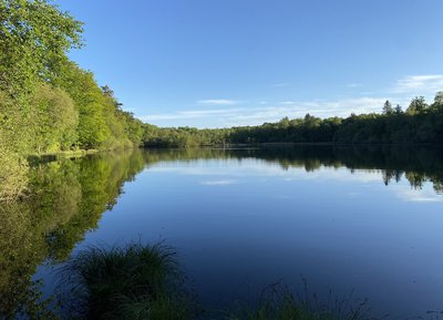 Etang de la Lande-Forêt, Le Grais