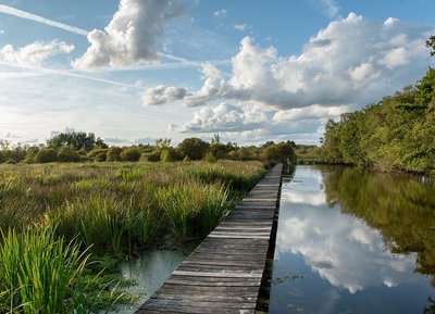 Le Marais du Grand Hazé