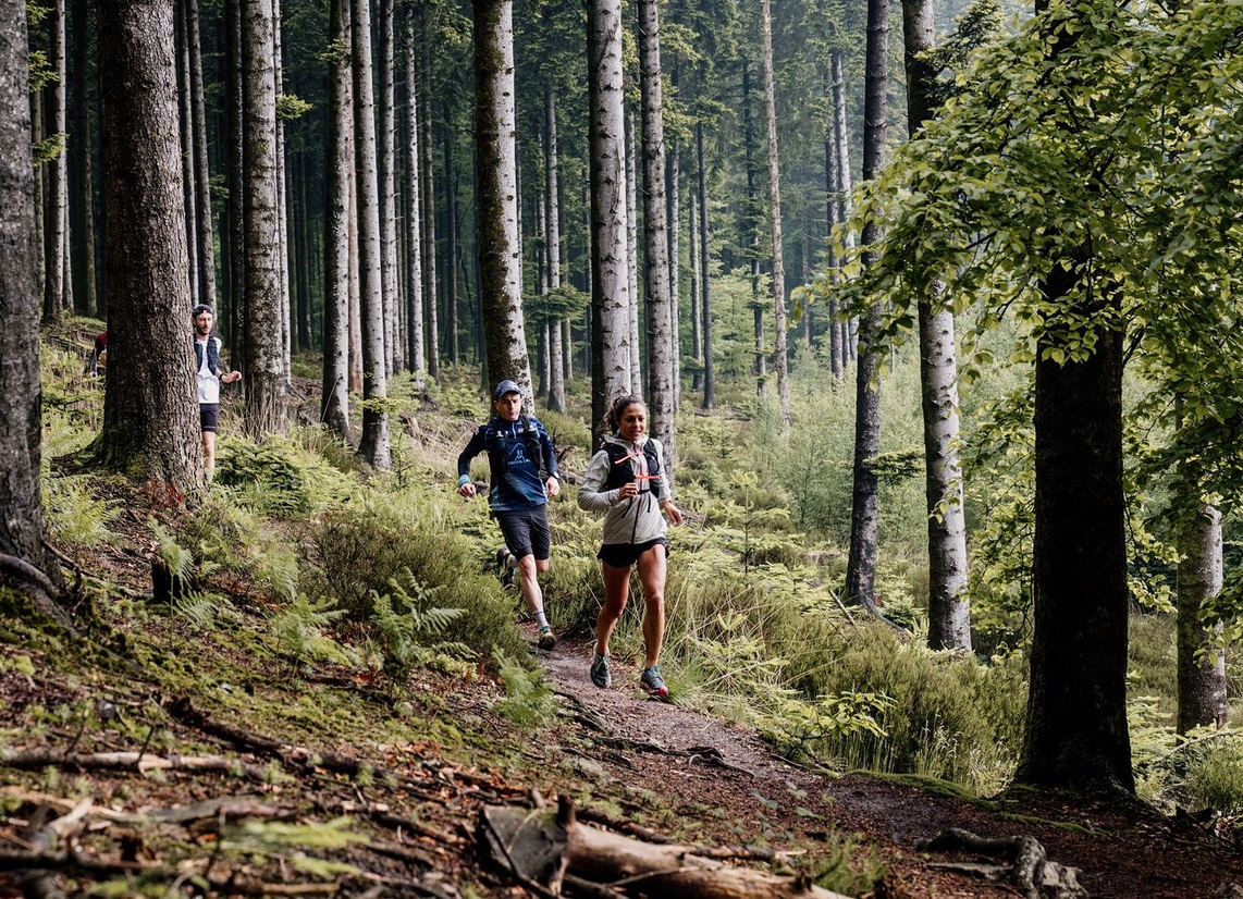 Trail en forêt d'Ecouves avec Sylvaine Cussot