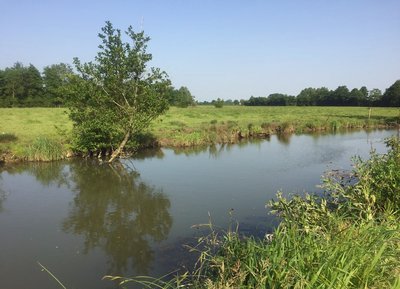 Les Pâtures à Argentan, Espace Naturel Sensible de l'Orne