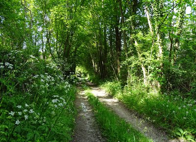 Coulonges sur Sarthe - Campagne Orne