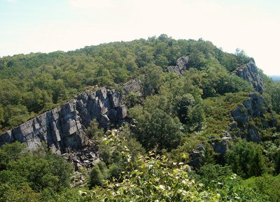 La Fosse Arthour, Espace Naturel Sensible de l'Orne