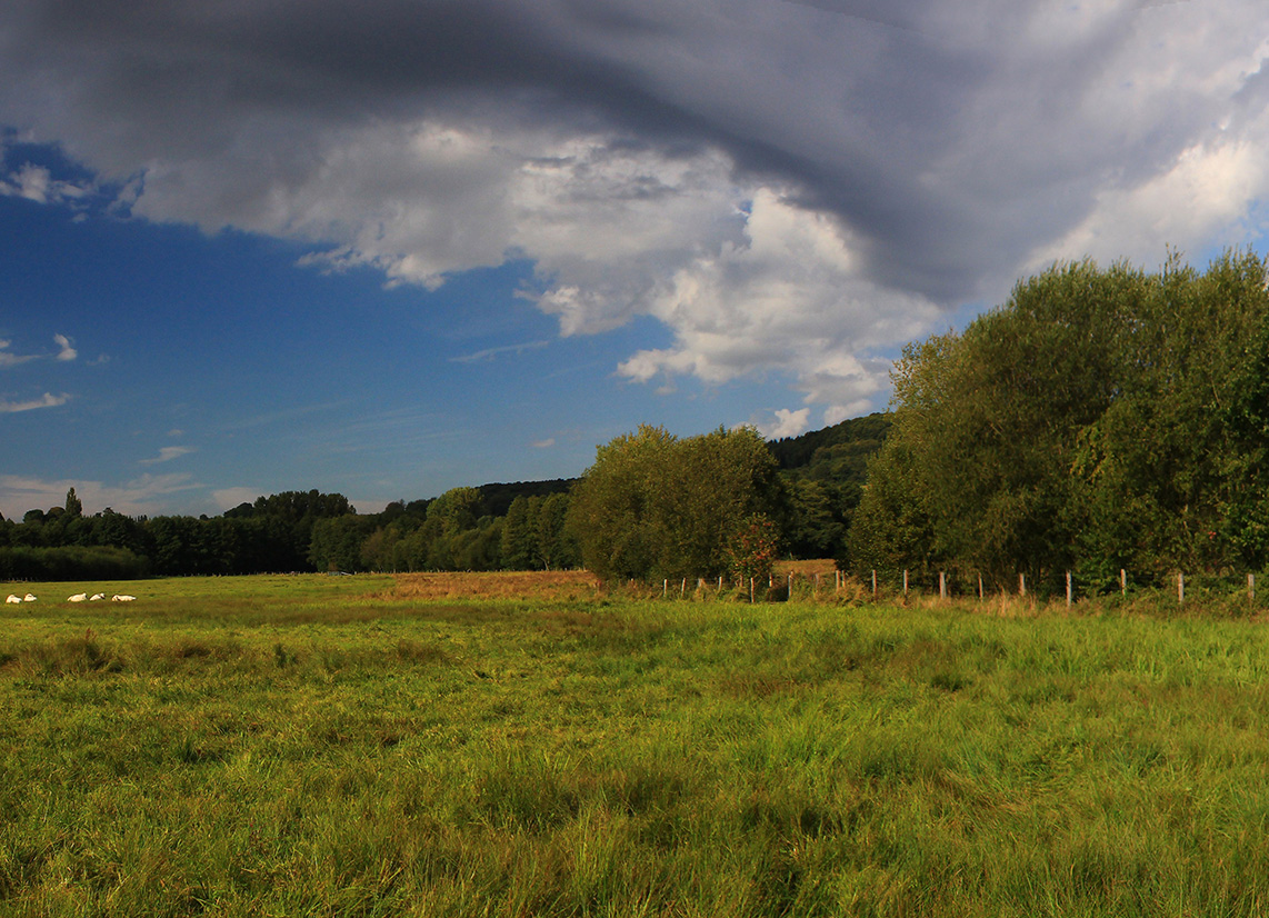 Marais de Bretoncelles