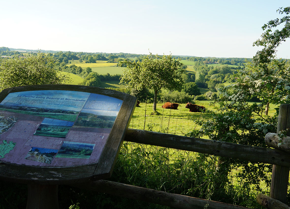 Site de l'Eperon à La Perrière