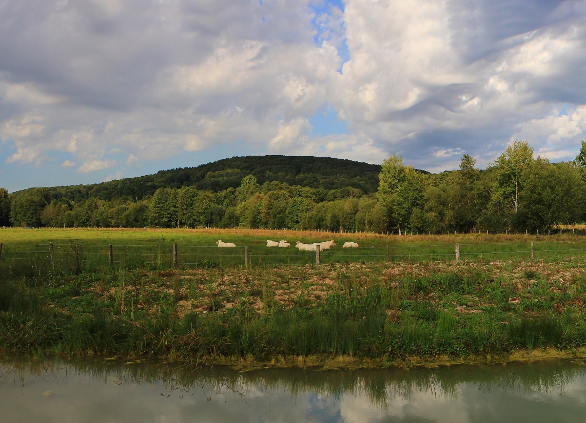 Vallée et Marais de Bretoncelles, Espace Naturel Sensible