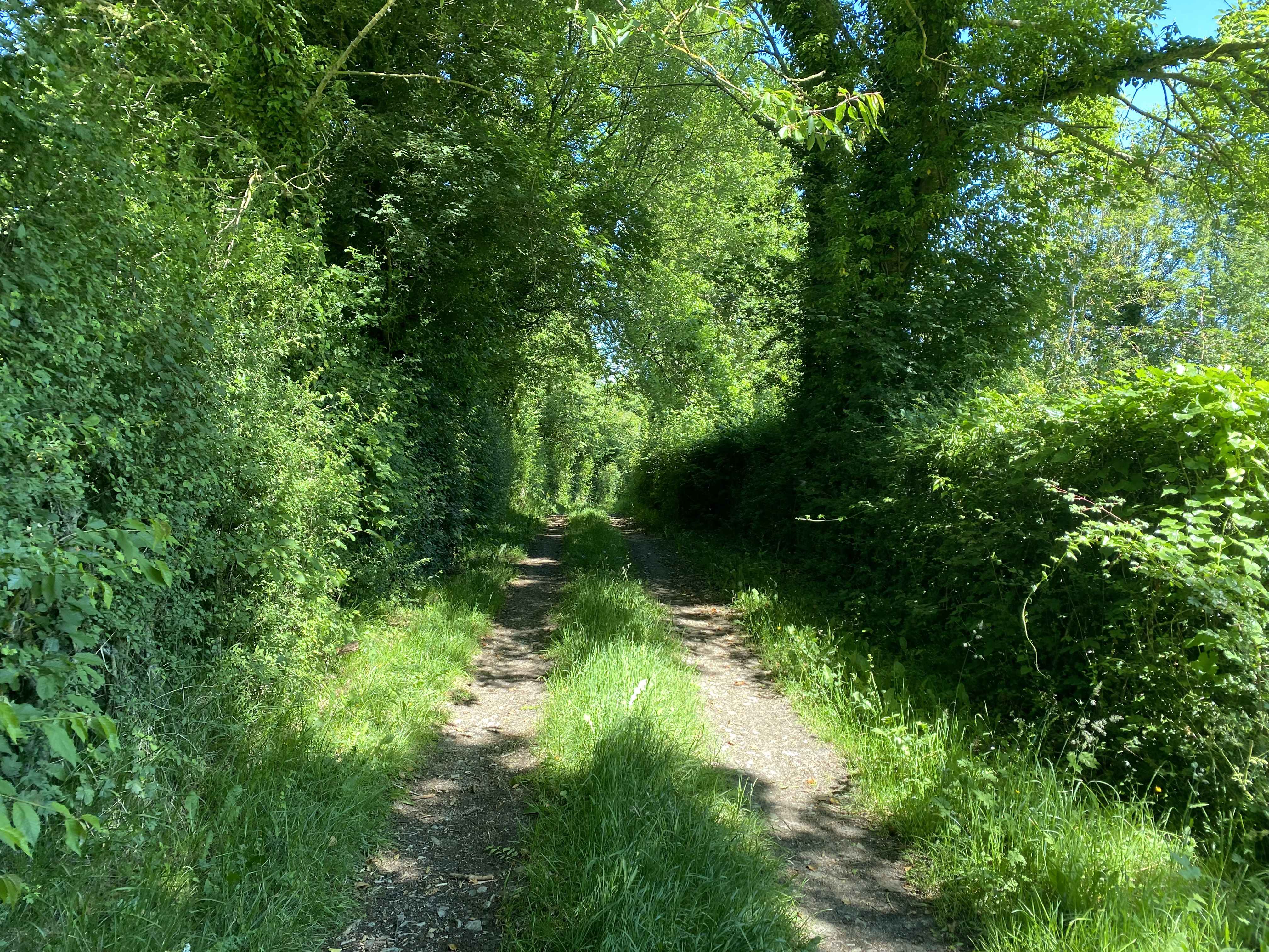 Chemin de randonnée dans l'Orne