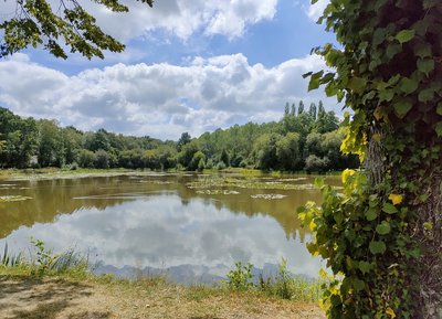 Etang de la Baronnie, La Ferté-Fresnel