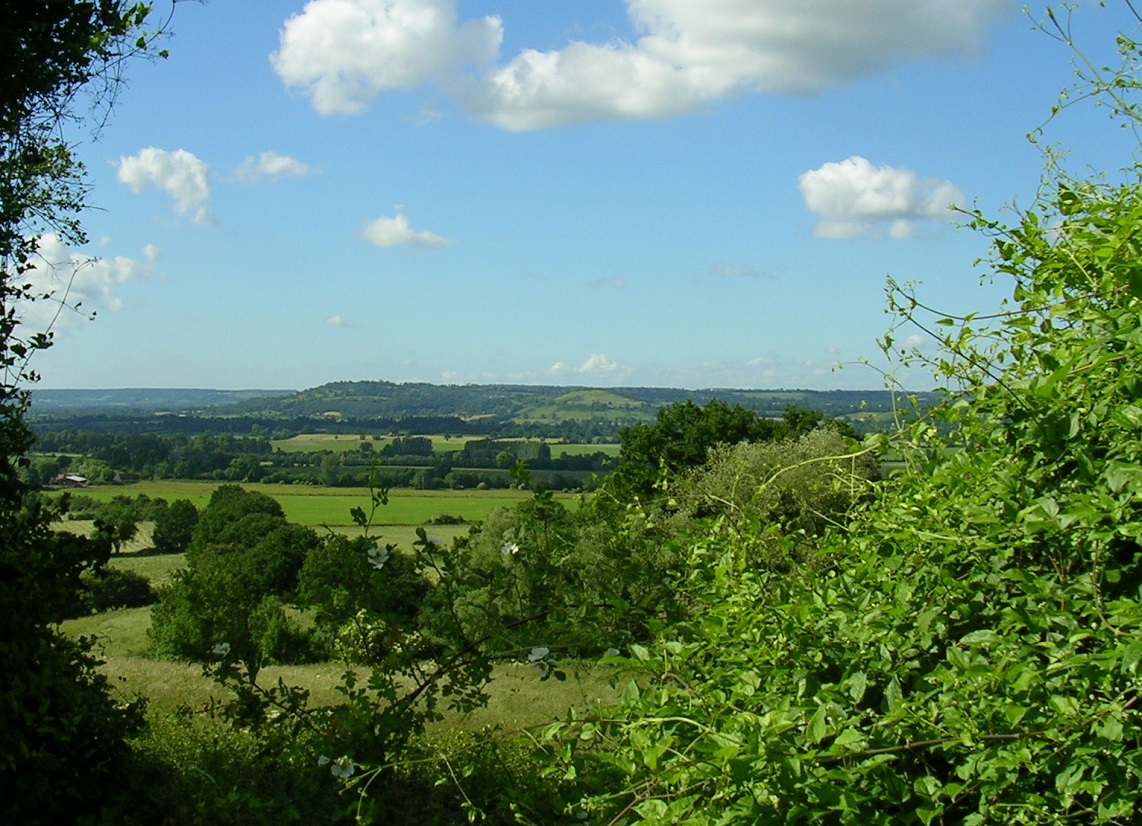 Paysages aux alentours d'Exmes