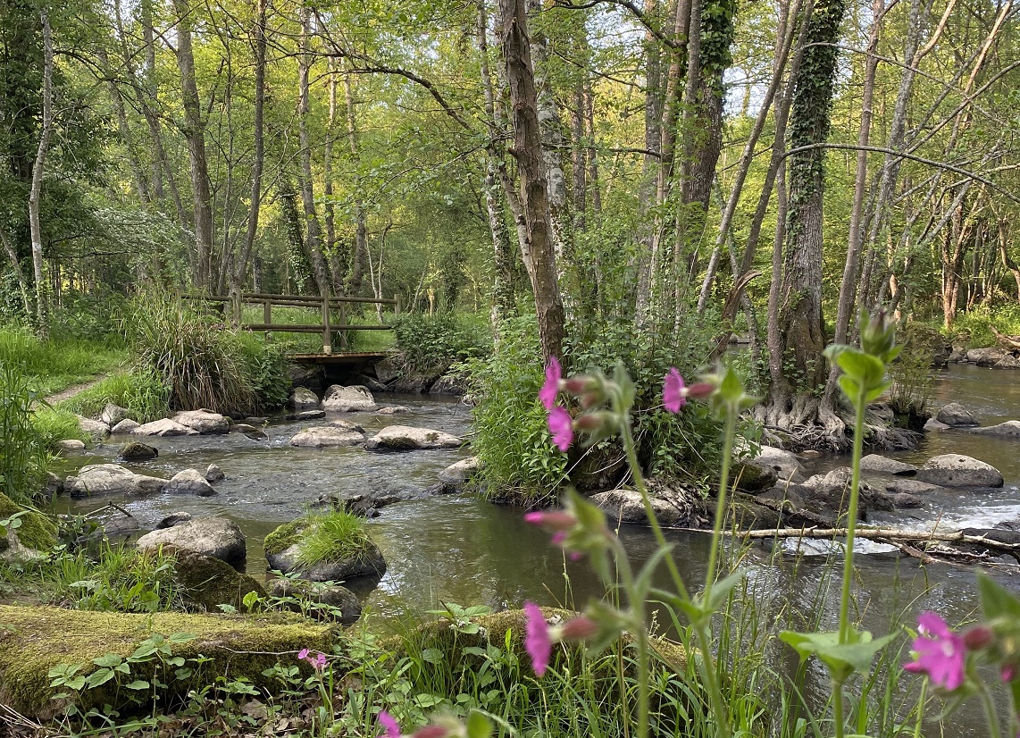 Le Chant des Cailloux