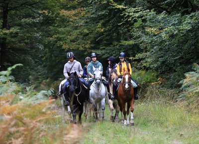 Randonnée à cheval dans le Perche