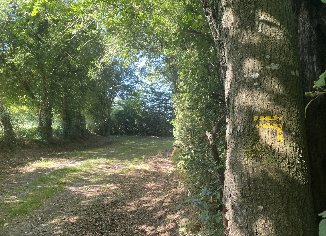 Chemins dans l'Orne