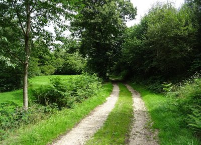 Chemin de randonnée