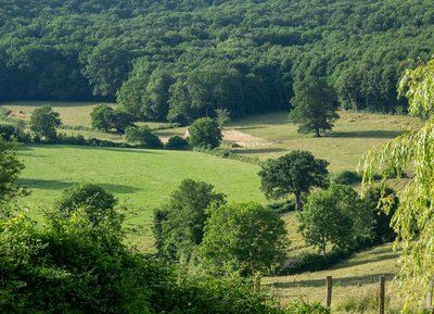 Paysage du Perche, dans l'Orne