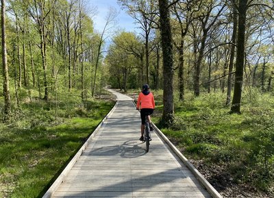 Gravel en forêt domaniale des Andaines dans l'Orne