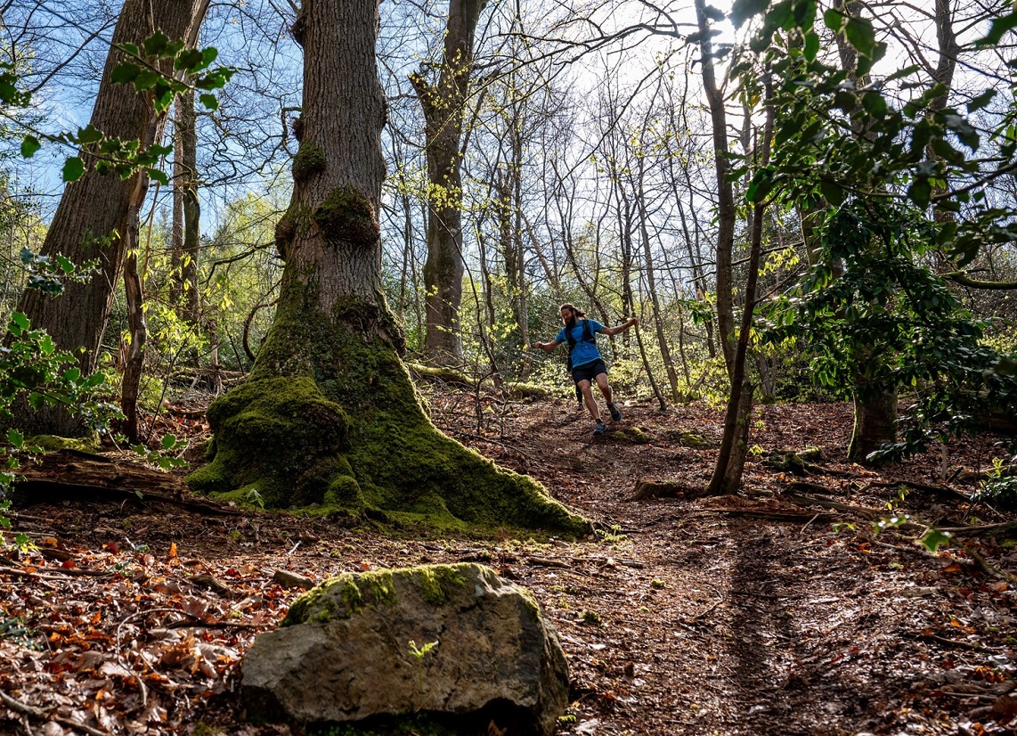 Trail en forêt des Andaines