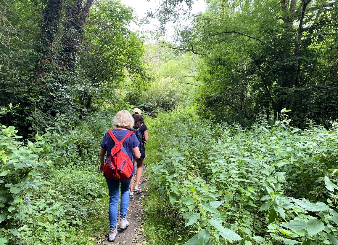 Chemins de randonnée dans l'Orne