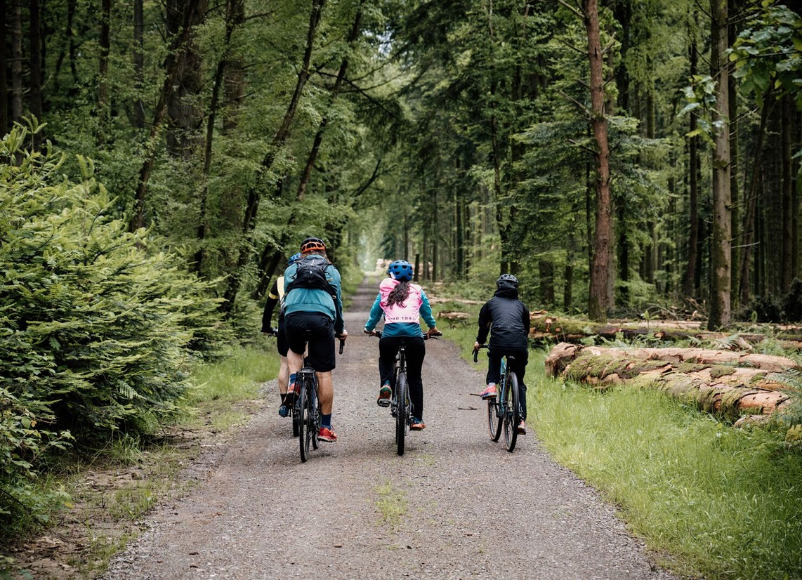 Gravel en forêt des Andaines, dans l'Orne