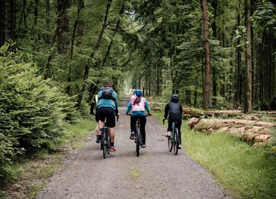 Gravel en forêt des Andaines, dans l'Orne