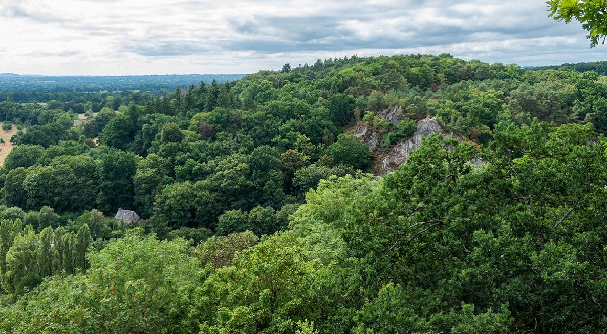 Vue sur le Tertre Saint-Anne, Domfront-en-Poiraie