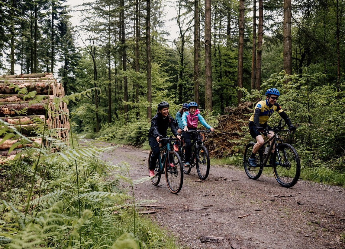 VTT en forêt d'Andaines, Orne