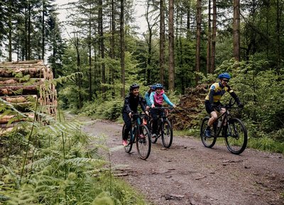 VTT en forêt d'Andaines, Orne